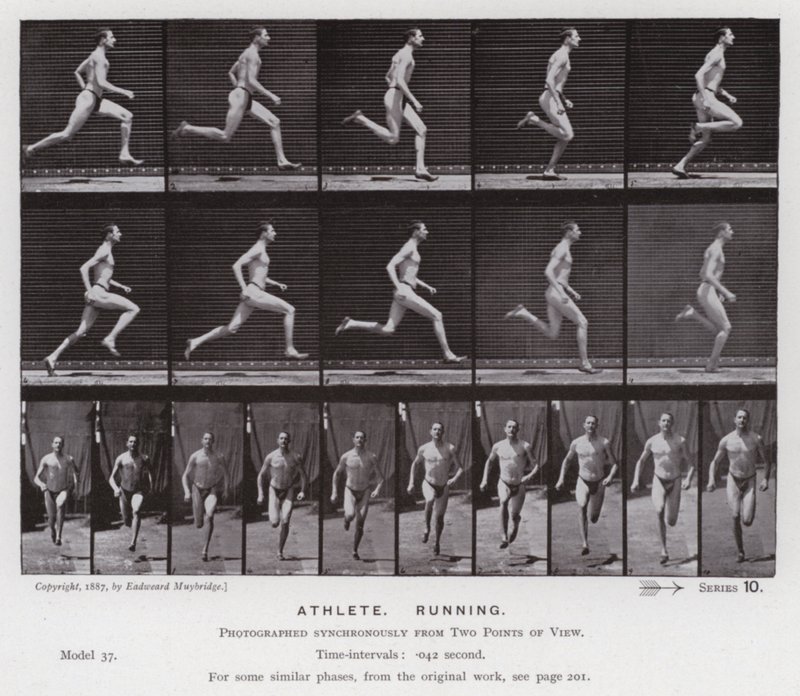 The Human Figure in Motion: Athlete, Running (b/w photo) بواسطة ايدويرد مويبريدج