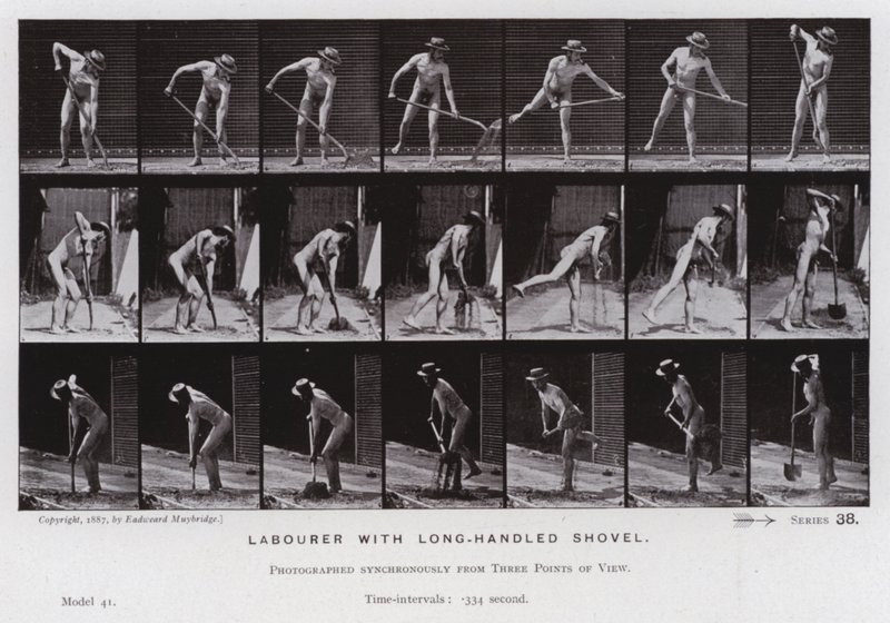 The Human Figure in Motion: Labourer with long-handled shovel (b/w photo) بواسطة ايدويرد مويبريدج