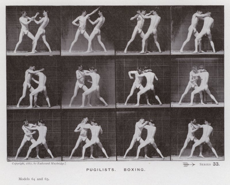 The Human Figure in Motion: Pugilists, Boxing (b/w photo) بواسطة ايدويرد مويبريدج