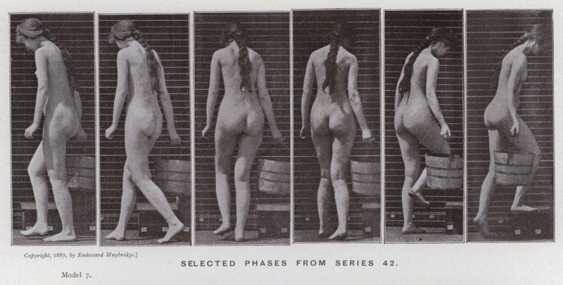 The Human Figure in Motion: Selected phases from series 42 (b/w photo) بواسطة ايدويرد مويبريدج