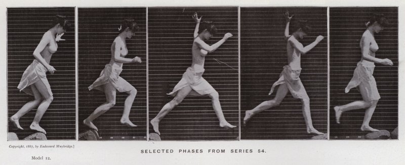 The Human Figure in Motion: Selected phases from series 54 (b/w photo) بواسطة ايدويرد مويبريدج
