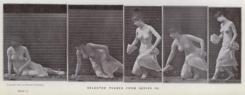 The Human Figure in Motion: Selected phases from series 56 (b/w photo) بواسطة ايدويرد مويبريدج
