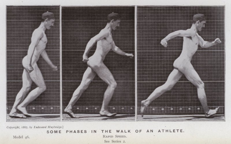 The Human Figure in Motion: Some phases in the walk of an athlete (b/w photo) بواسطة ايدويرد مويبريدج
