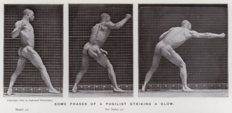 The Human Figure in Motion: Some phases of a pugilist striking a blow (b/w photo) بواسطة ايدويرد مويبريدج