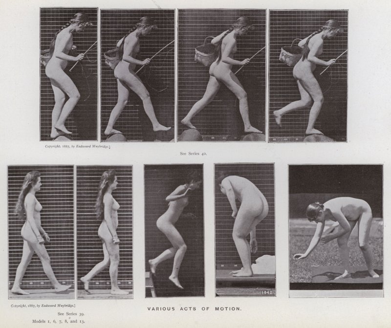 The Human Figure in Motion: Various acts of motion (b/w photo) بواسطة ايدويرد مويبريدج