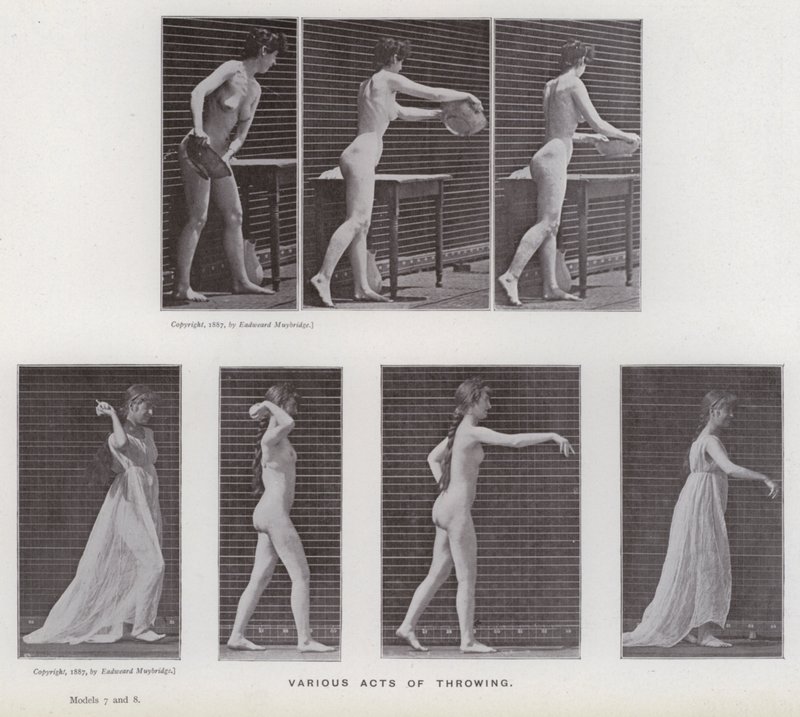 The Human Figure in Motion: Various acts of throwing (b/w photo) بواسطة ايدويرد مويبريدج