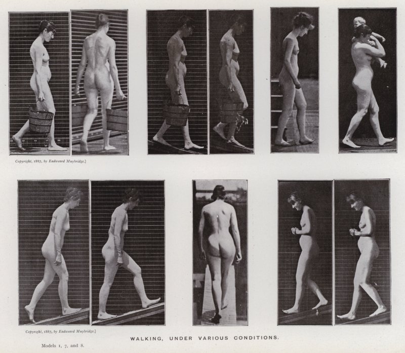 The Human Figure in Motion: Walking, under various conditions (b/w photo) بواسطة ايدويرد مويبريدج