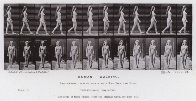 The Human Figure in Motion: Woman, Walking (b/w photo) بواسطة ايدويرد مويبريدج