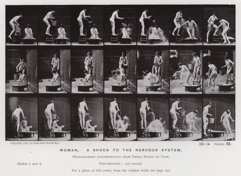 The Human Figure in Motion: Woman, a shock to the nervous system (b/w photo) بواسطة ايدويرد مويبريدج