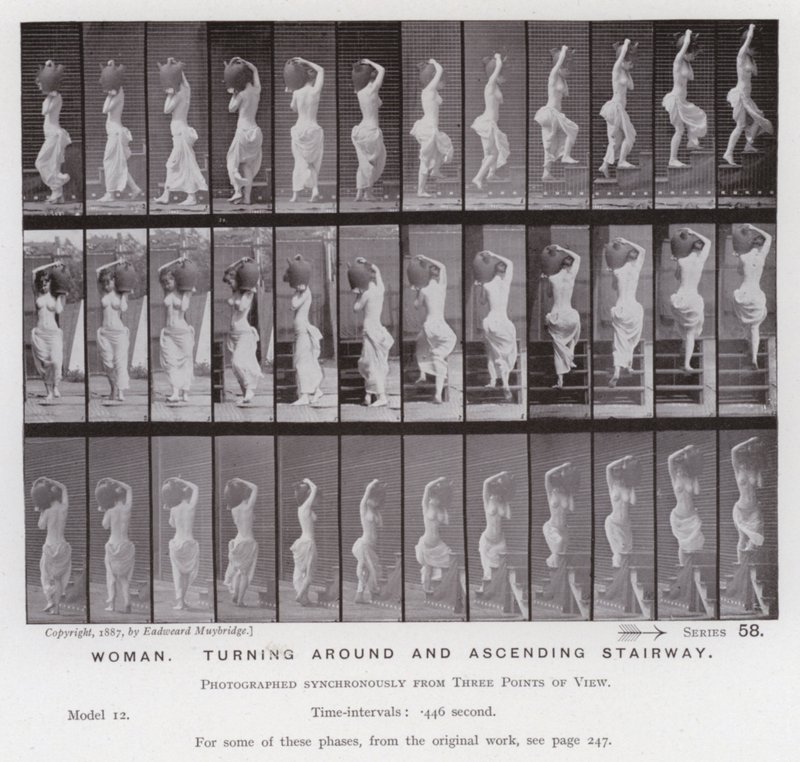 The Human Figure in Motion: Woman, turning around and ascending stairway (b/w photo) بواسطة ايدويرد مويبريدج