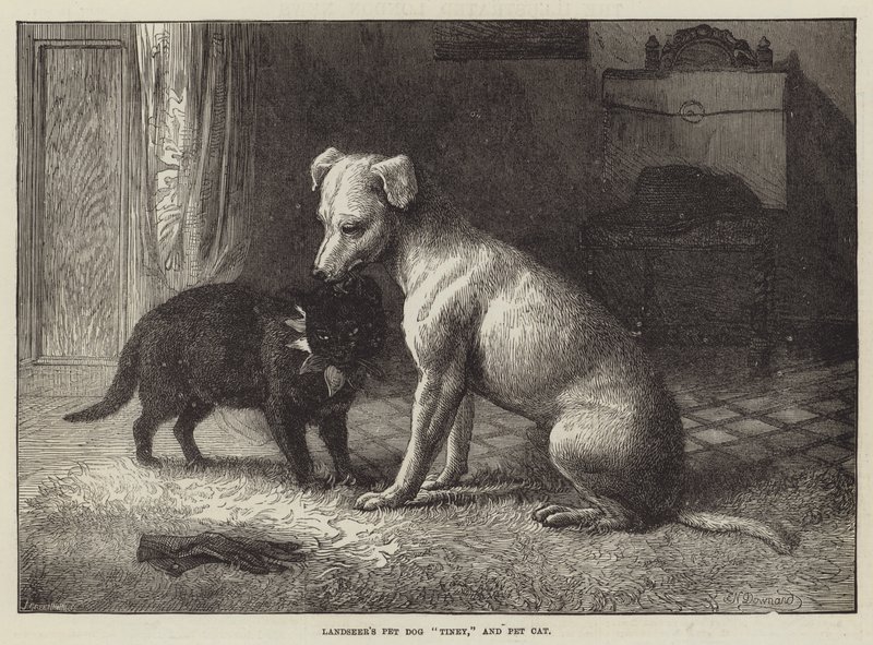 كلب الحيوانات الأليفة Landseer Tiney ، والقطط الأليفة بواسطة إبنيزر نيومان داونارد