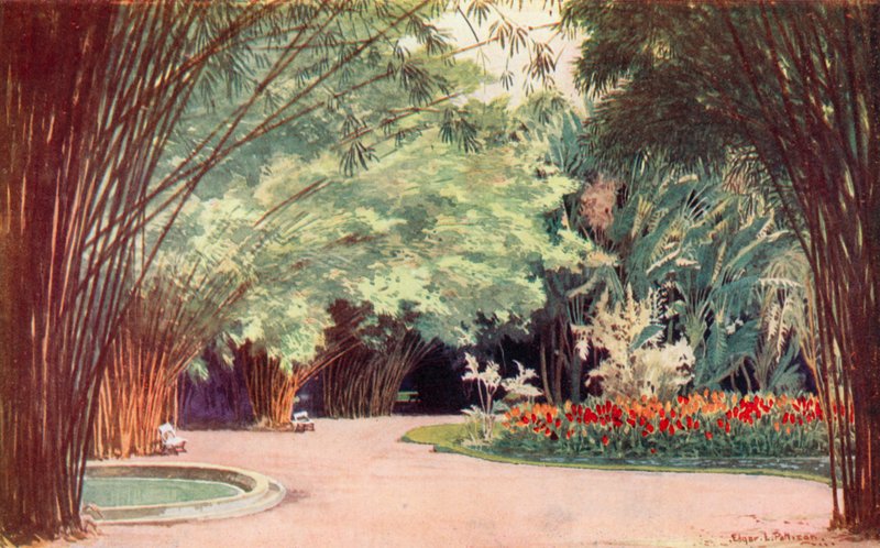 A Bamboo Grove، Botanical Gardens (لون ليثو) بواسطة Edgar L. Pattison