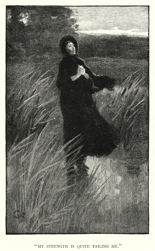 Illustration for Jane Eyre by Charlotte Bronte (engraving) بواسطة إدموند هنري جاريت