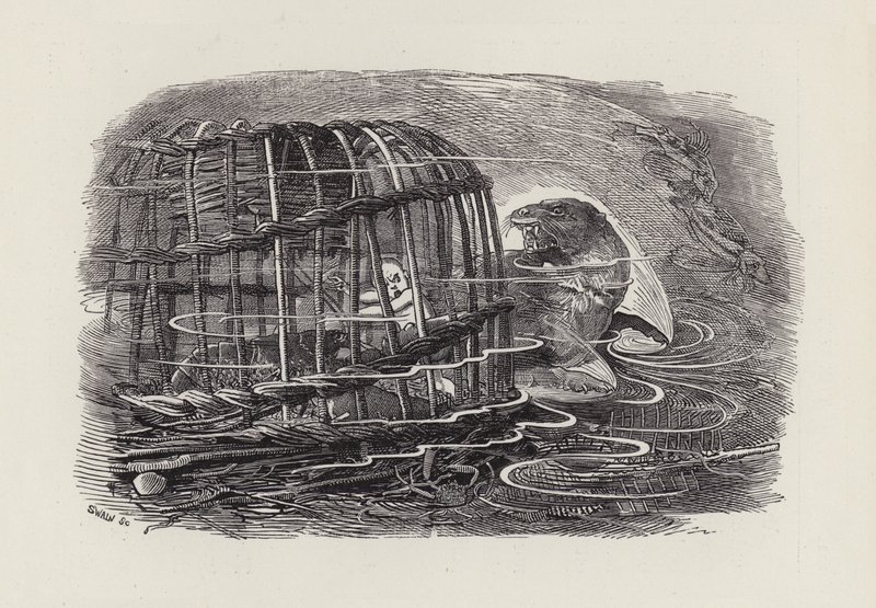 رسم توضيحي للأطفال الصغار بواسطة تشارلز كينجسلي (نقش) بواسطة إدوارد لينلي (بعد) سامبورن