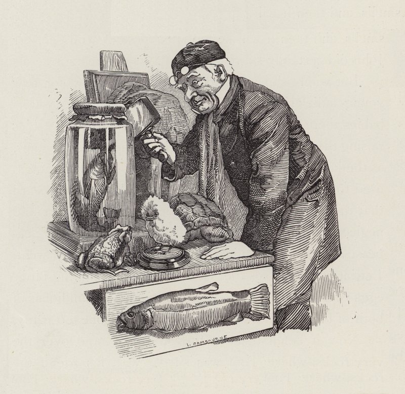 رسم توضيحي للأطفال الصغار بواسطة تشارلز كينجسلي (نقش) بواسطة إدوارد لينلي (بعد) سامبورن