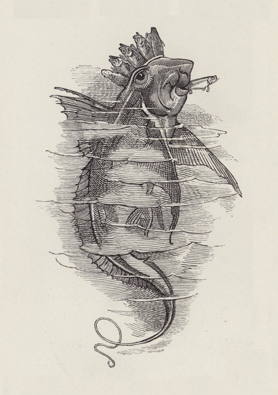 رسم توضيحي للأطفال الصغار بواسطة تشارلز كينجسلي (نقش) بواسطة إدوارد لينلي (بعد) سامبورن