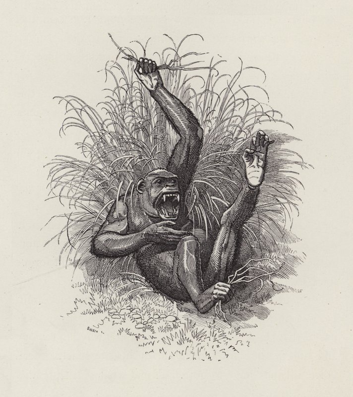 رسم توضيحي للأطفال الصغار بواسطة تشارلز كينجسلي (نقش) بواسطة إدوارد لينلي (بعد) سامبورن