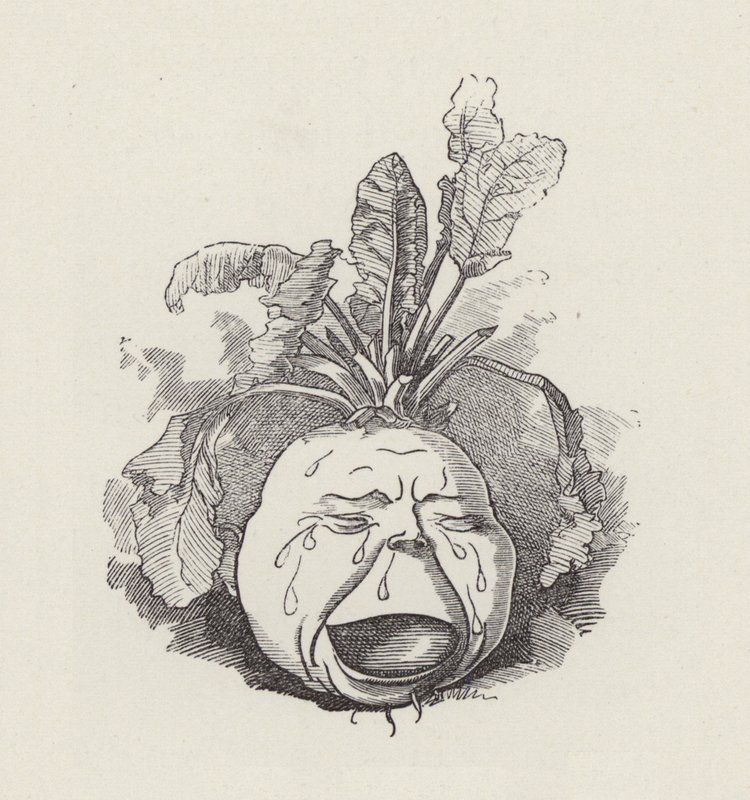 رسم توضيحي للأطفال الصغار بواسطة تشارلز كينجسلي (نقش) بواسطة إدوارد لينلي (بعد) سامبورن