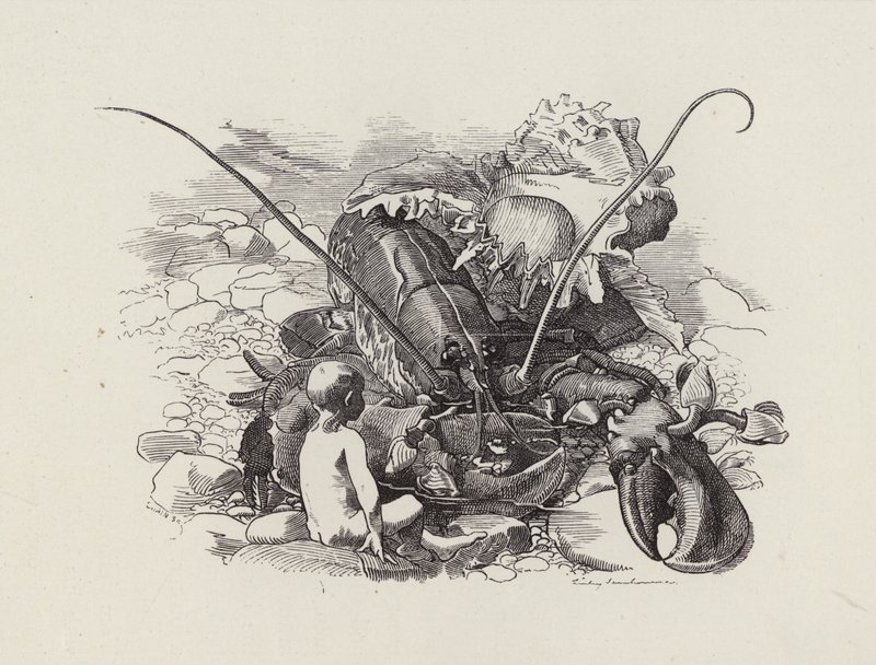 رسم توضيحي للأطفال الصغار بواسطة تشارلز كينجسلي (نقش) بواسطة إدوارد لينلي (بعد) سامبورن