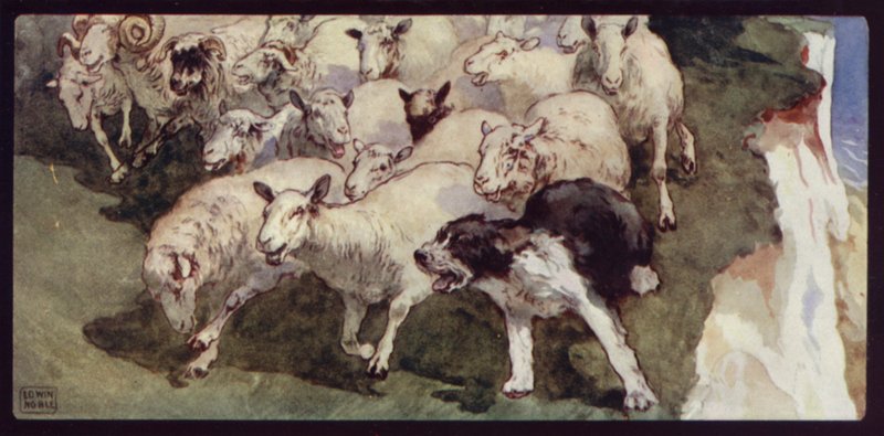 Bobtailed Sheep-Dog and Flock on the Cliffs (لون ليثو) بواسطة إدوين نوبل