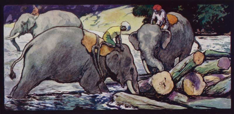 Elephants handling Logs in River (colour litho) بواسطة إدوين نوبل