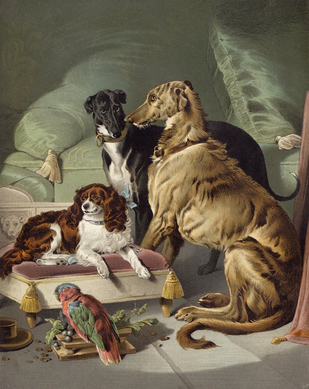 داش ، هيكتور ، نيرو ، ولوري بواسطة إدوين بعد Landseer