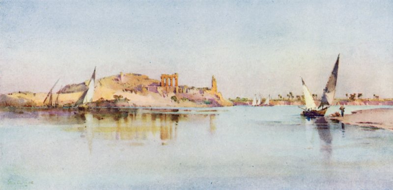 منخفض العنبر (أسود ليثو) بواسطة إيلا دو كين