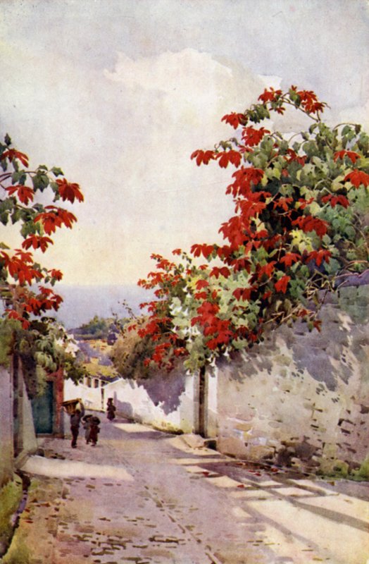 Poinsettia on the Mount Road (لون ليثو) بواسطة إيلا دو كين