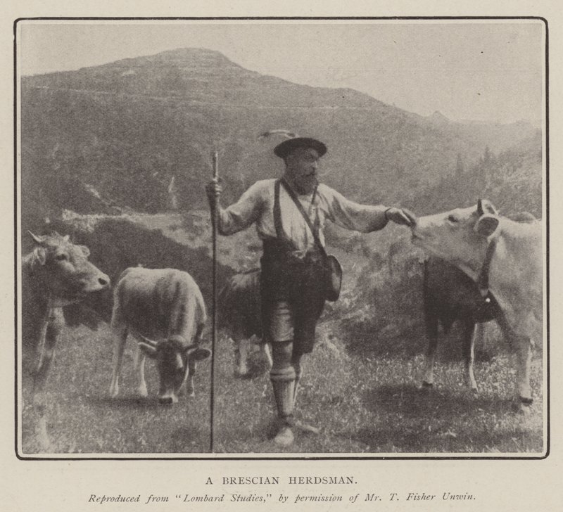 A Brescian Herdsman بواسطة مصور انجليزى