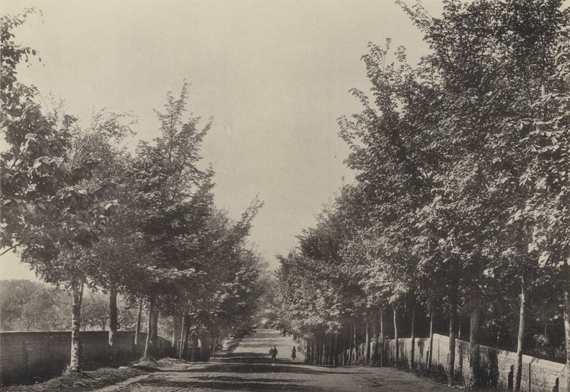 Aldeburgh ، Westfields Avenue (b / w photo) بواسطة مصور انجليزى