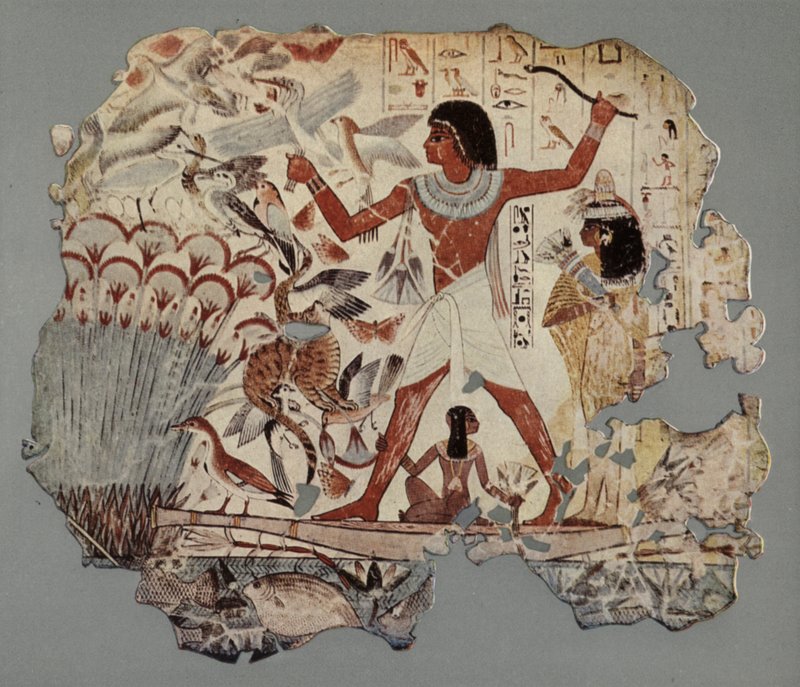  بواسطة مصور انجليزى