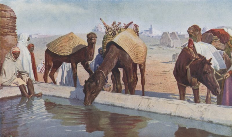  بواسطة مصور انجليزى