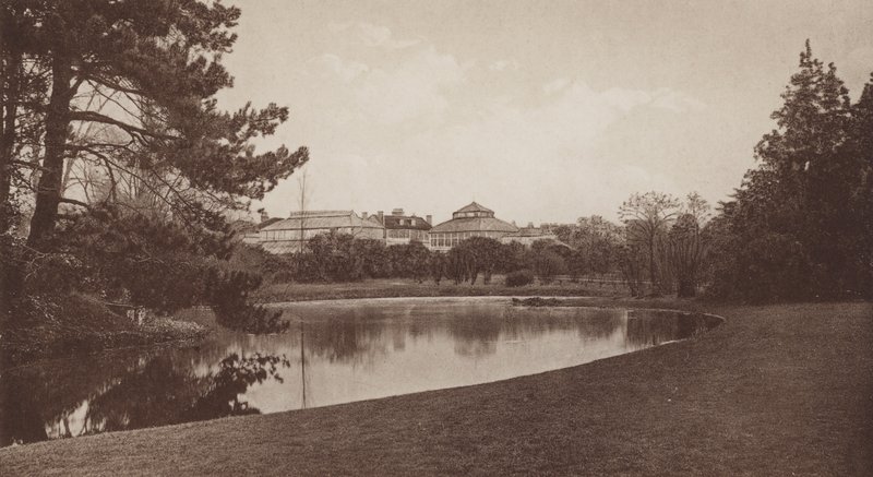 Botanic Gardens, Cambridge (b/w photo) بواسطة مصور انجليزى