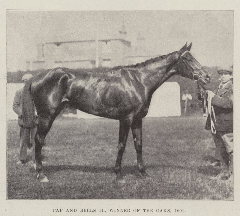 Cap and Bells II ، الفائز في أوكس ، 1901 بواسطة مصور انجليزى