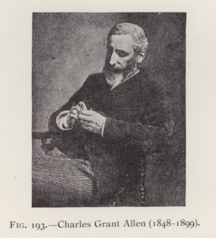 تشارلز جرانت ألين (1848-1899) ، صورة شخصية (صورة بالأبيض والأسود) بواسطة مصور انجليزى