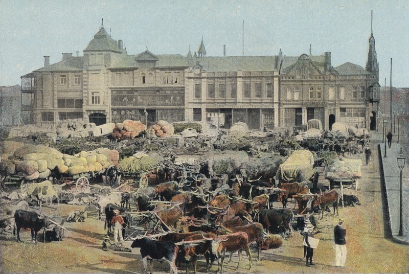 Early Morning Market, Johannesburg (coloured photo) بواسطة مصور انجليزى