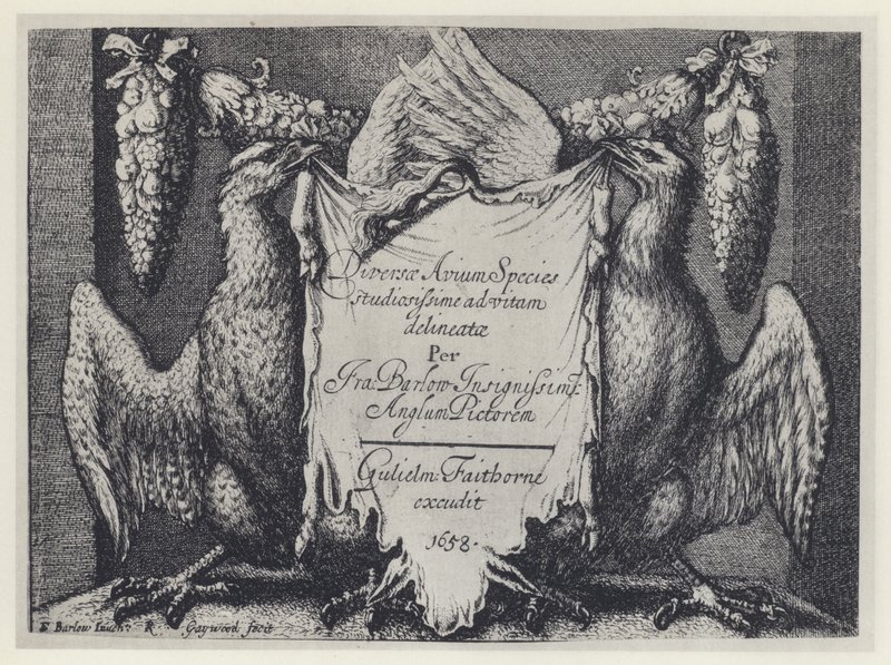 F Barlow, Diversae avium species, G Faithorne 1658 (b/w photo) بواسطة مصور انجليزى