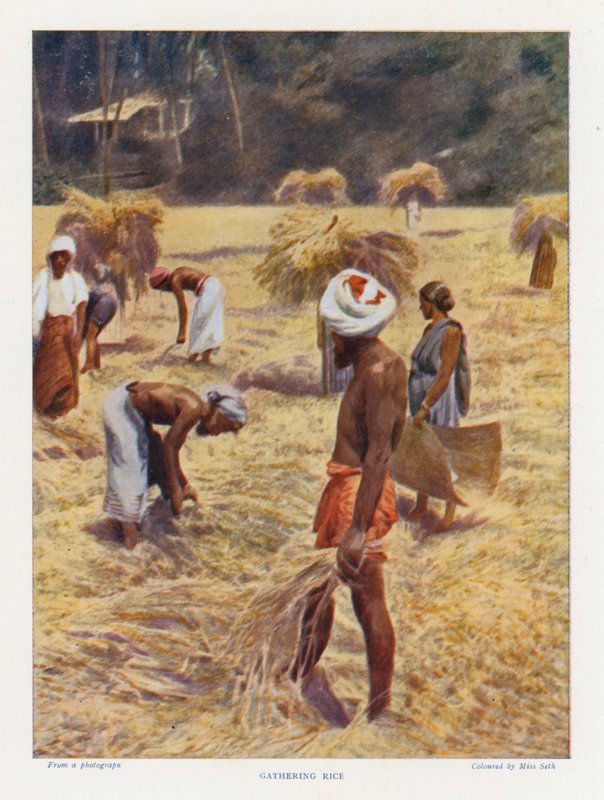  بواسطة مصور انجليزى