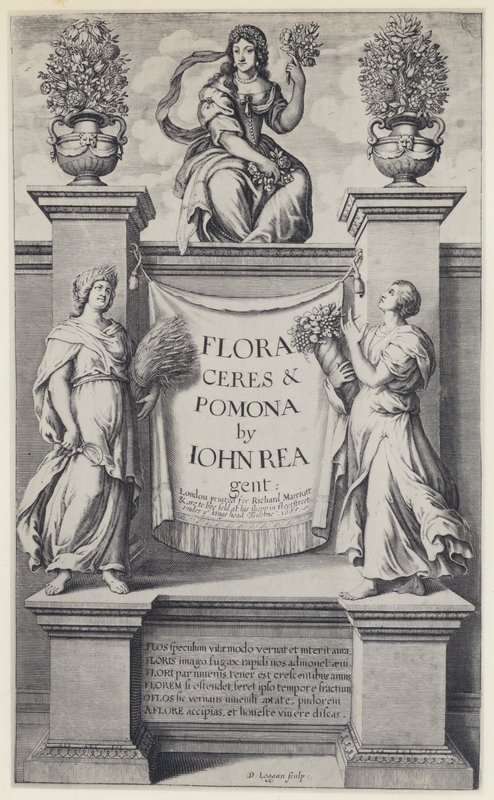 J Rea و Flora و Ceres و Pomona و R Marriott 1665 (b / w photo) بواسطة مصور انجليزى