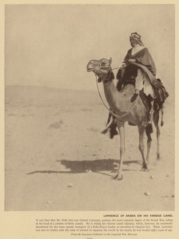  بواسطة مصور انجليزى