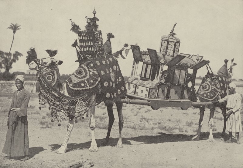 مراسم الزواج في القاهرة بواسطة مصور انجليزى