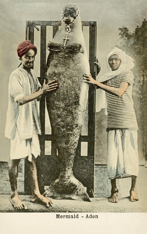  بواسطة مصور انجليزى