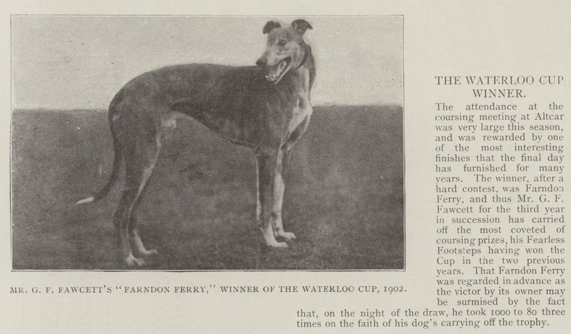 السيد GF Fawcetts Farndon Ferry ، الفائز بكأس واترلو ، 1902 بواسطة مصور انجليزى