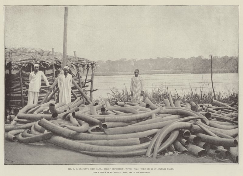 السيد HM Stanleys Emin Pasha Relief Expedition ، متجر Tippoo Tibs Ivory في ستانلي فولز بواسطة مصور انجليزى