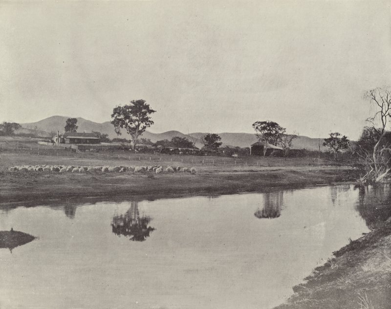 محطة Nemengha بواسطة مصور انجليزى