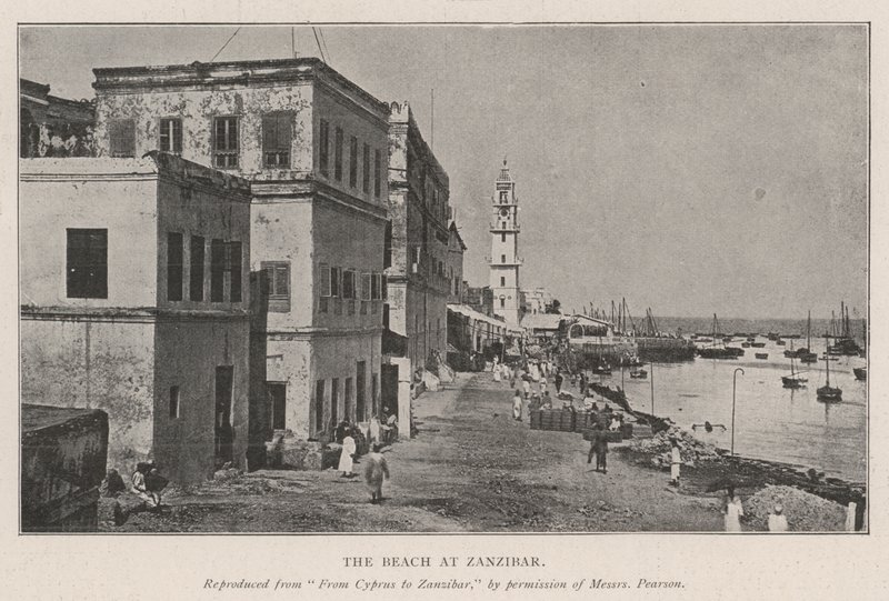 الشاطئ في زنجبار بواسطة مصور انجليزى