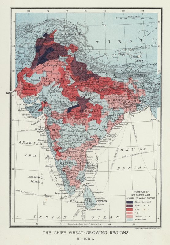The Chief Wheat-Growing Regions, India (photo) بواسطة مصور انجليزى