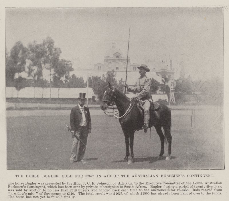 تم بيع The Horse Bugler مقابل 2627 جنيهًا إسترلينيًا لمساعدة فرقة Bushmens الأسترالية ، أديليد. رسم توضيحي لأخبار لندن المصورة ، 26 مايو 1900 بواسطة مصور انجليزى