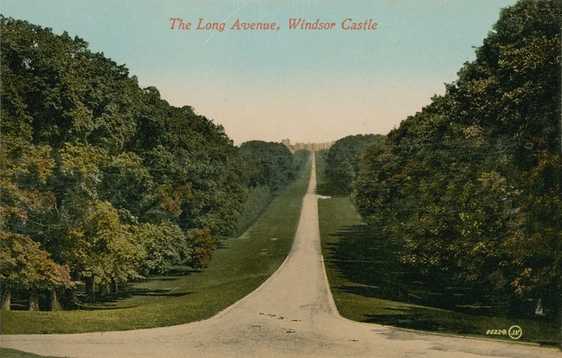 The Long Avenue ، قلعة وندسور في إنجلترا. أُرسلت البطاقة البريدية عام 1913. بواسطة مصور انجليزى