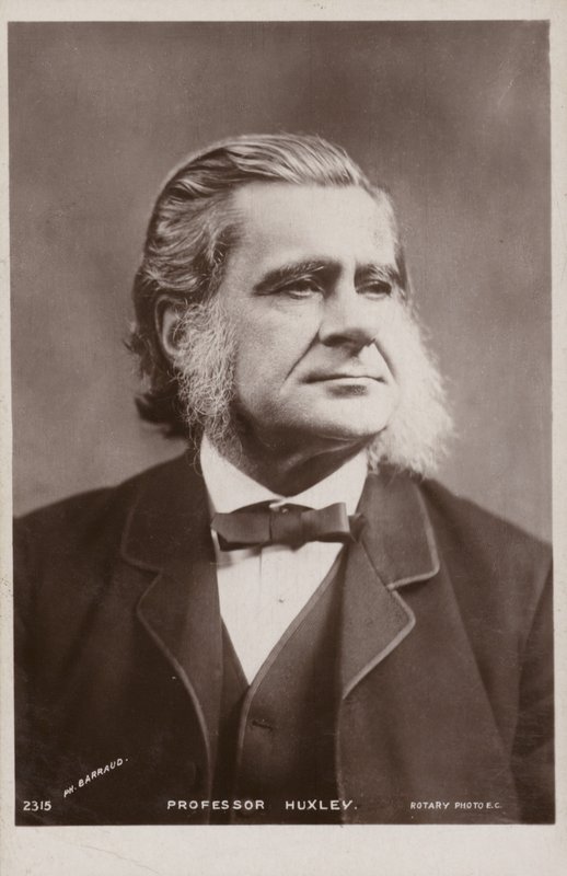 توماس هنري هكسلي (1825-1895 ، عالم أحياء إنجليزي بواسطة مصور انجليزى
